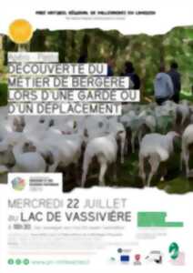 photo Apéro-pasto à Vassivière : Découverte du métier de bergère