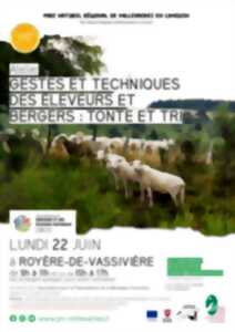 photo Gestes et techniques des éleveurs et bergers : tonte et tri