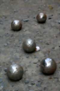 photo Gardollous Pétanque
