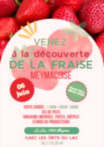 photo Venez à la découverte de la fraise meymacoise