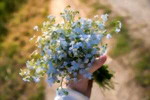 photo Les Ateliers de la mine : Atelier Art floral -