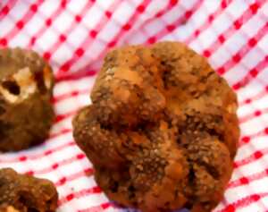 photo Marché de la truffe d'été