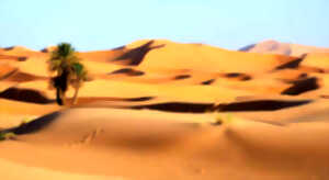 photo Contes et légendes du Sahara