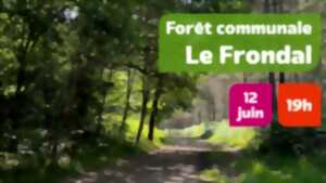 photo Balade acompagnée dans la forêt communale de Boulazac-Isle-Manoire