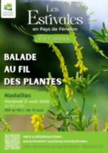 photo ETE CURIEUX : Balade au fil des plantes à Nadaillac