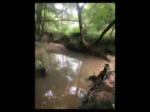 photo Découverte de la biodiversité au fil de l'eau