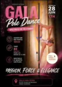 photo Gala pole dance