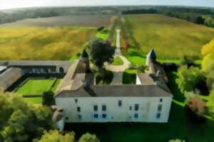 photo 60 ans d'archéologie dans le Médoc au Château Livran
