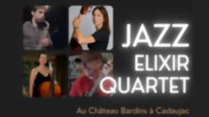 photo Concert / Dégustation - Jazz au Château Bardins