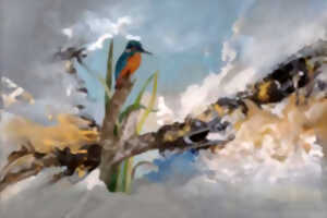 photo Exposition peintures & photos