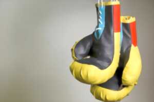 photo Cours de boxe éducative