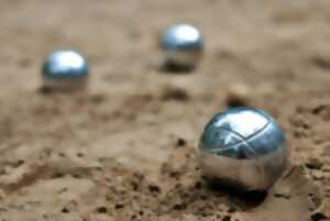 photo Concours de Pétanque - Boule d'Or Morcenaise