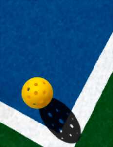photo Journée Découverte du Pickleball