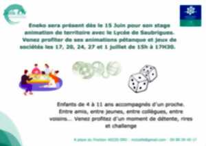 photo Après midi jeux de société et pétanque