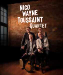photo Concert - Nico Wayne Toussaint