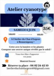 photo Atelier Cyanotype