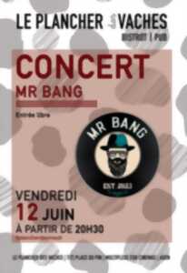 photo Concert avec Mister Bang
