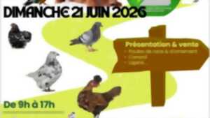 photo Présentation et vente