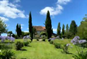 photo Arbres, arbres de vie, arbres de Cinquantie