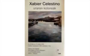 photo Exposition : Uraren koloreak de Xabier Celestino