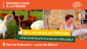 photo Rendez-vous à la ferme : De l'alpaga au tissage