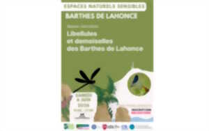 photo Balade naturaliste : Libellules et demoiselles des Barthes de Lahonce