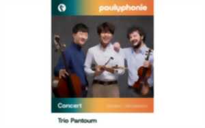 photo Festival Paulyphonie - Concert Schubert / Mendelson