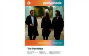 photo Festival Paulyphonie - Concert Beethoven /Brahms