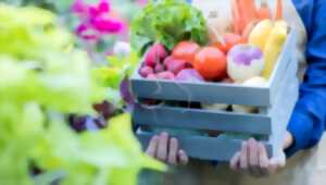 photo Marché des producteurs de pays de Mauzé-Thouarsais
