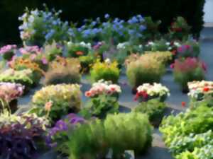 photo Marché en fête
