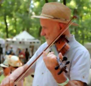 photo Stage de violon - Festival de Bouche à Oreille