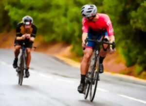 photo Pour l'amour du vélo - Exposition