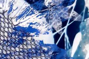 photo Pratique artistique - Cyanotype avec Miss V
