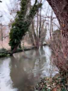photo L'eau au cœur de la biodiversité - Atlas de la biodiversité