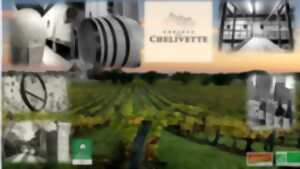 photo Le Brunch des Vendanges au château de Chelivette !