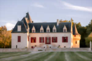 photo Atelier Peinture et Dégustation au Château Olivier