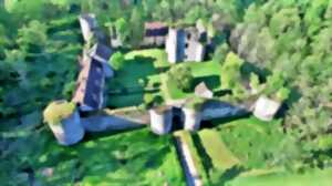 photo Visite du château Mez-le-Maréchal - Journée Européenne de l'Archéologie