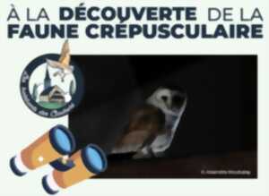 photo A la découverte de la faune crépusculaire