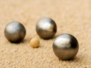 photo CONCOURS DE PETANQUE DES CASTORS DE VEBRON