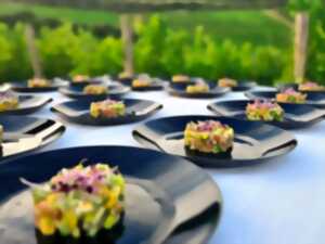 photo DINER GASTRONOMIQUE DANS LES VIGNES : LA MARTINE S’ENVOLE VERS L'ESPAGNE