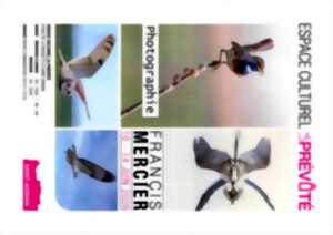 photo Exposition de photographies de francis mercier