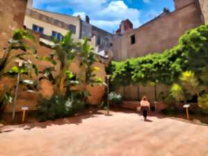 photo JARDINS D'ÉTÉ EN MUSIQUE
