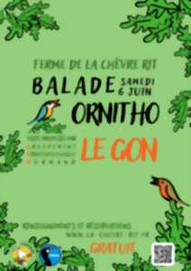 photo Sortie Ornitho - Découvrir les oiseaux du bocage