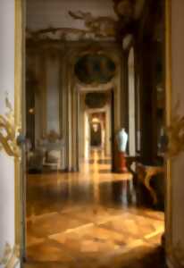 photo Première visite : les appartements du palais Rohan !