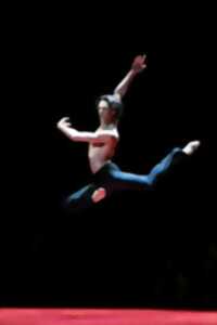 photo Gala du Ballet