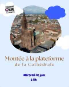 photo Montée à la plateforme de la Cathédrale
