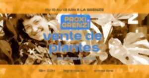 photo PROXI GRENZI : Vente de plantes avec Studio Plantes à La Grenze