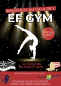 photo Gala de gymnastique de l'Espérance Freyming Gym