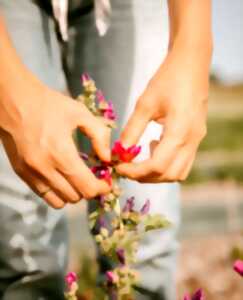 photo Voyage sensoriel au cœur des plantes