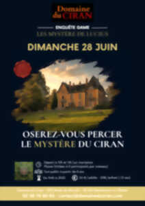 photo Enquête Game : Les mystères de Lucius